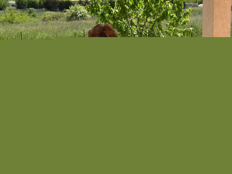 image23